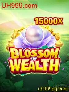 BlossomofWealth: Uma Imersão no Mundo dos Jogadores da UH999.com